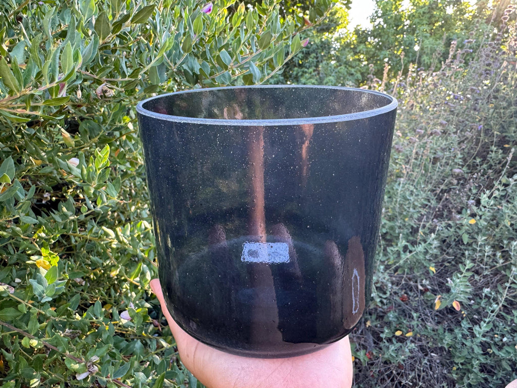 6" B+5 Shungite 146881 Crystal Tones® Alchemy Crystal Singing Bowl